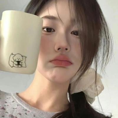 金陵神捕封面